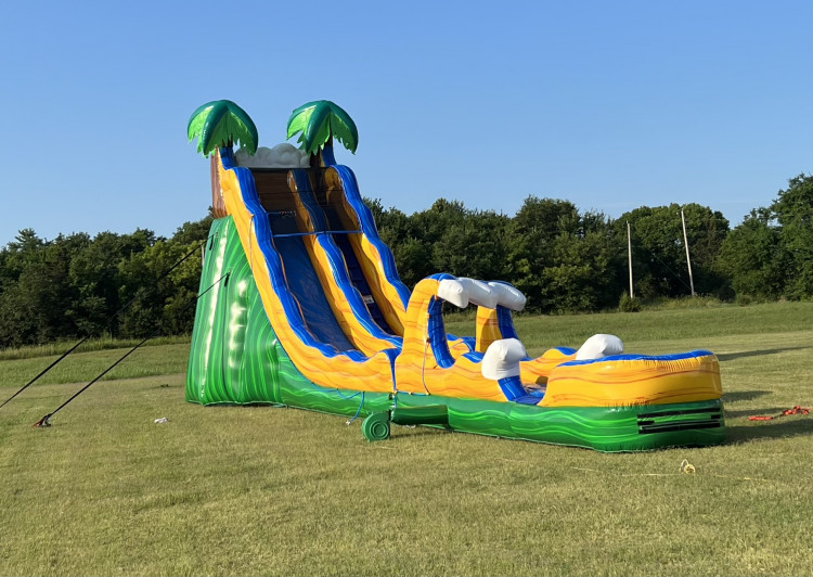 Slides Wet/Dry